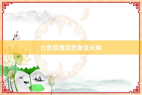 白色玫瑰花的象征兴味