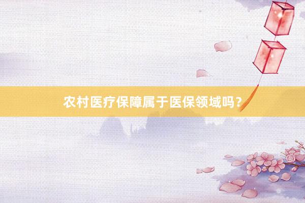 农村医疗保障属于医保领域吗？