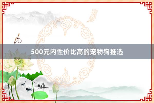 500元内性价比高的宠物狗推选