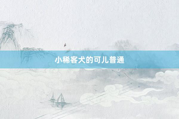 小稀客犬的可儿普通