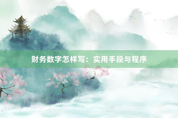 财务数字怎样写：实用手段与程序