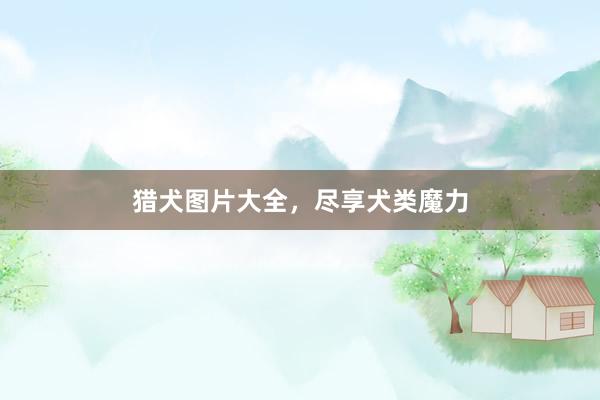 猎犬图片大全，尽享犬类魔力